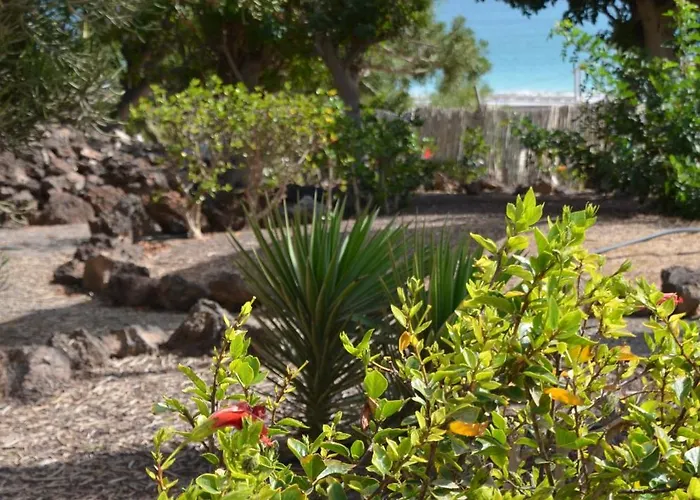 شقة Hibiscos 314 - Casa Atlantico *